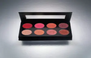 Theatrical Rouge Palette
